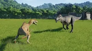 Spinoraptor VS Allosaurus 1.6.2 - Jurassic World Evolution