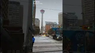 Snowfall in Calgary Alberta Canada 🇨🇦 #shorts #Calgary #canada
