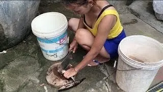 Amazing Natural Life - Beautiful Girl Grilled Fish - Best Khmer Cooking Styles #57