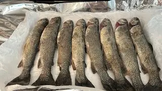 Catching Rainbows in the Snow&hellip;Catch and Cook Rainbow Trout and Steak!