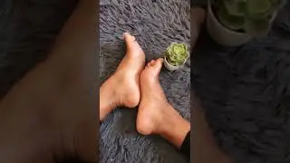 Easy Foot Spa @home with Superdrug Foot Pampering Sock Pack #shorts #asmr