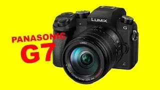 Panasonic 14-140mm Kit Lens vs Panasonic 14-45mm Kit Lens: Why I Bought the Panasonic G7 + 14-140mm
