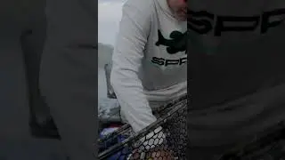 BROWN Trout on Bass Fishing Gear! 💪