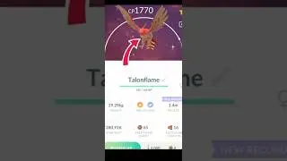 LETS GO!! ✨ Shiny Talonflame✨Evolve🧬 in Pokemon GO.