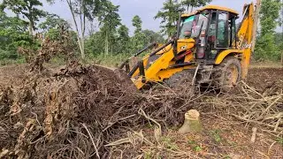 Jcb machine cleaning root bush in forest -  Jcb cleaning and Scientific forestry plantation