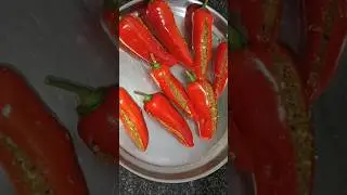 pandu mirchi pickle చేసాను #shorts