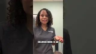 #ASKTHEVET Dr. Joya Griffin responds: what is chlorhexidine? 🤔 #doglover #pethealth #veterinarian