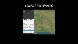 BONZA IS STILL FLYING? #bonza