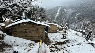 This is Himalayan Life During the Snowfall Time| Surviving Life in winter | VillageLifeNepal