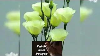Good Morning - greetings, wishes, prayers and quotes