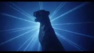 Sukker Lyn - Hold Lidt Igen (Officiel Video)