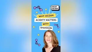 Why Ocean Acidity Matters