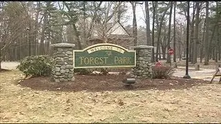 Which wildlife animals roam Forest Park?