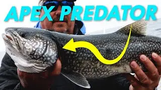 Lake Superior Trout Fishing feat. @jimmygretz | Great Lakes Now