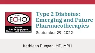 Cardi-OH ECHO - Type 2 Diabetes: Emerging and Future Pharmacotherapies
