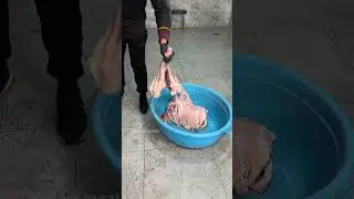 The Unique Method of Making Tandir Gosht in Qarshi!