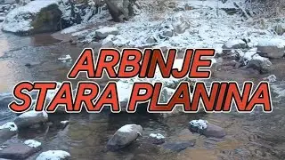 OD TUPAVICE DO ARBINJA KROZ DIVLJINU STARA PLANINA #travel #nature #snow