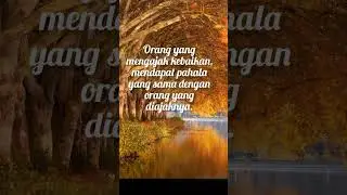 HR Tirmidzi - Today's Quote No.  34 #shorts #shortsvideo #islam