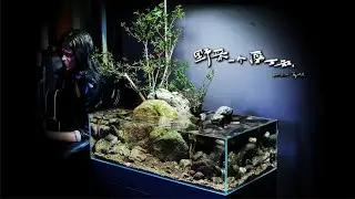 野采一个原生缸