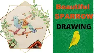 How To Draw a Colourful Sparrow | Easy Sparrow Drawing | C D Drawing Tutorial