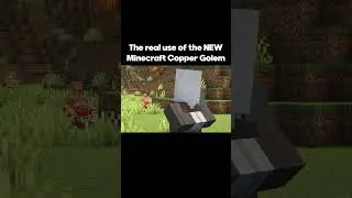 Do NOT give the Copper Golem TNT | Minecraft Meme