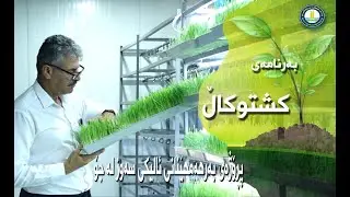 پڕۆژەی بەرهەمهێنانی ئالیکی سەوز لە جۆ