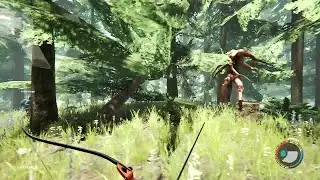 Armsy, your deforestation solution | The Forest