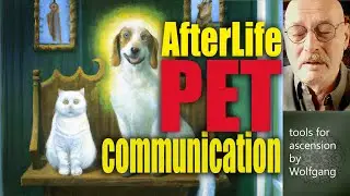 Connect with Deceased Pets: Afterlife Meditation for Healing & Reunion