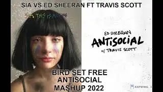 mashup....pop....remix....SIA VS ED SHEERAN FT TRAVIS SCOTT BIRD SET FREE ANTISOCIAL