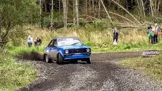 Lakeland Forestry Rally 2019 (HD)