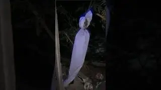 Meet The POCONG, traditional ghost from Indonesia #pocong #hauntedstories #horrorstories #indonesia