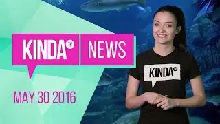 KindaTV News | May 30 2016 | ft. Natasha Negovanlis