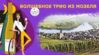 Обзор вин участников фестиваля Riesling Weeks 2021 (перезаливка)