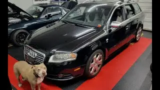 NEW Project: Supercharged Audi V8 Dad Wagon