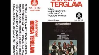 Ansambel Borisa Terglava   Martinovanje