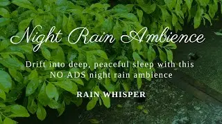 Night Rain Ambience 🌿 Heavy Rain on Yard for Deep Sleep & Relaxation