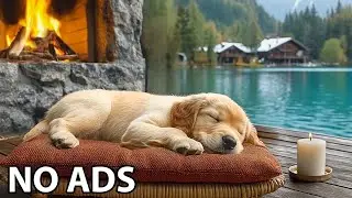 12 Hours Of Dog Music 🎵 Calming Music for Dogs Deep Sleep 🐶 Separation Anxiety Music for Dogs