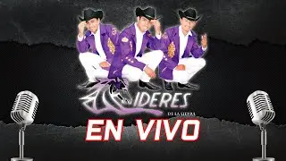 Mix Huapango Norteño Trío Líderes de la Sierra | EN VIVO