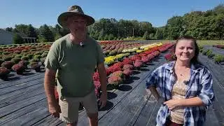 PUMPKIN SEASON here - Come visit PAPA DERs Produce! #growingindependence #pumpkin #mums #hightunnel