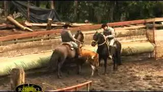 RodeoTV, m&aacute;s que rodeo - Capitulo 9