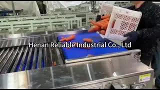 Carrot grading machine, carrot sorting machine, fruit and vegetable sorting equipment