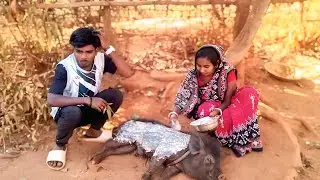 Sukri pitha // New santali comedy video 2026 // #funnyvideo // #viralvideo // Kochepiyo Production 