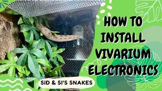 DIY How to install vivarium electronics | Snake | Hognose or Corn Snake