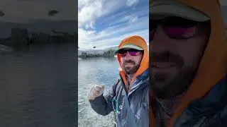 Yooo!! Intertidal exploration on Hydruga Rocks