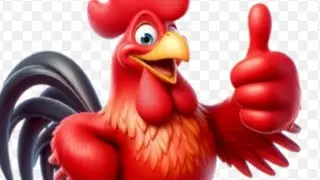 MANJUR@786 is live#chicken cutting