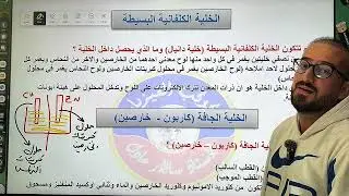 فيزياء الثالث متوسط | الفصل الرابع | البطاريات ( البطارية الاولية )م2