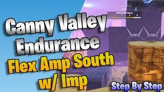 Flex Amplifier South (w/ Imp Amp) Build for Canny Valley Endurance AFK -  Step By Step