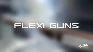 SEI Laser Flexi Guns