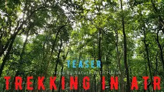Teaser - Trekking In Achanakmar Tiger Reserve
