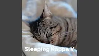 睡眠音樂,一秒入睡!!! 兩小時不間斷放鬆音樂,睡眠音樂...